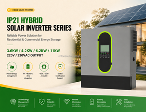 Hybrid Solar Inverter 4200W 24V DC 220V/230V AC WiFi Pure Sine Wave MPPT